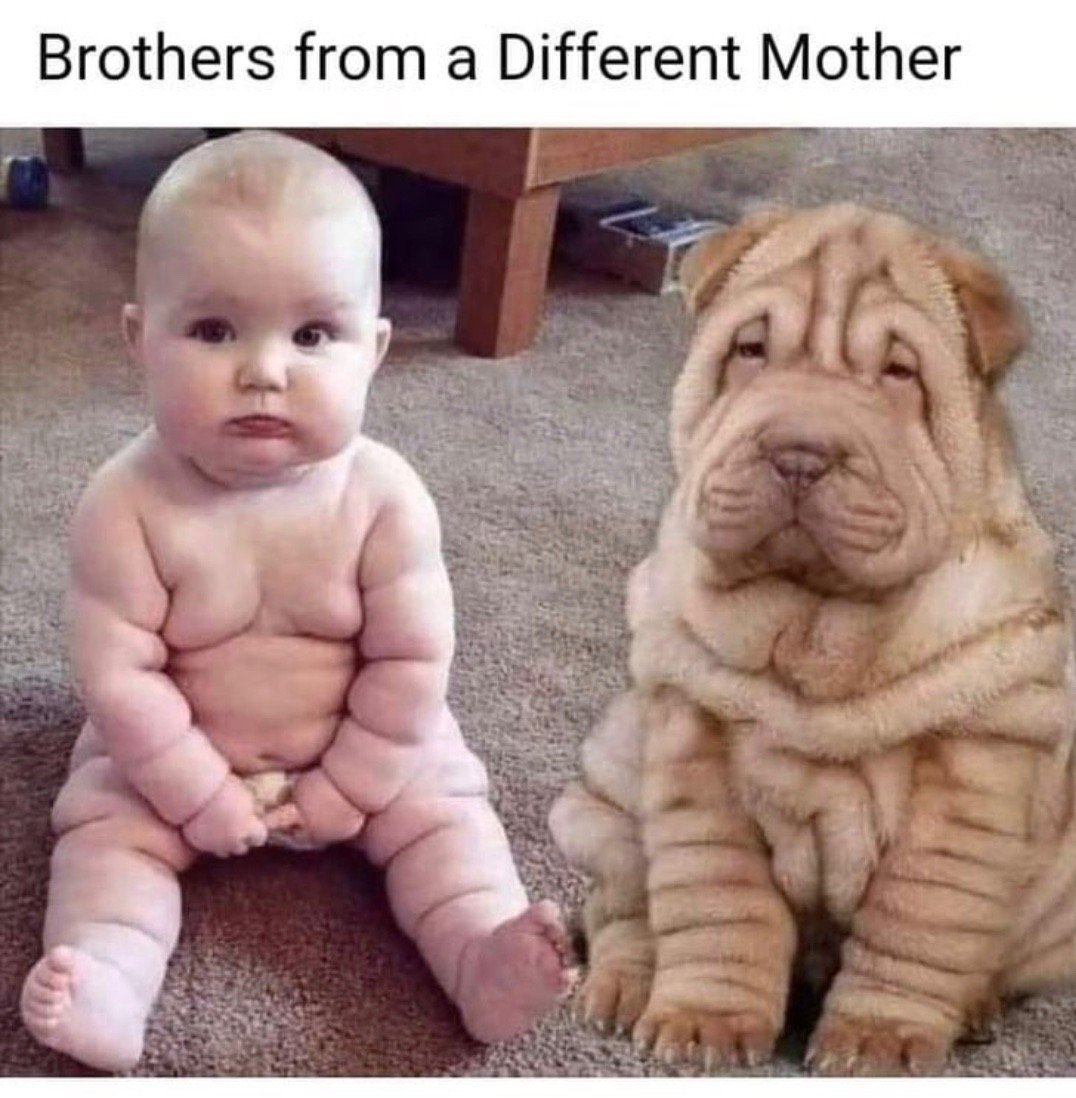 chubby baby and dog