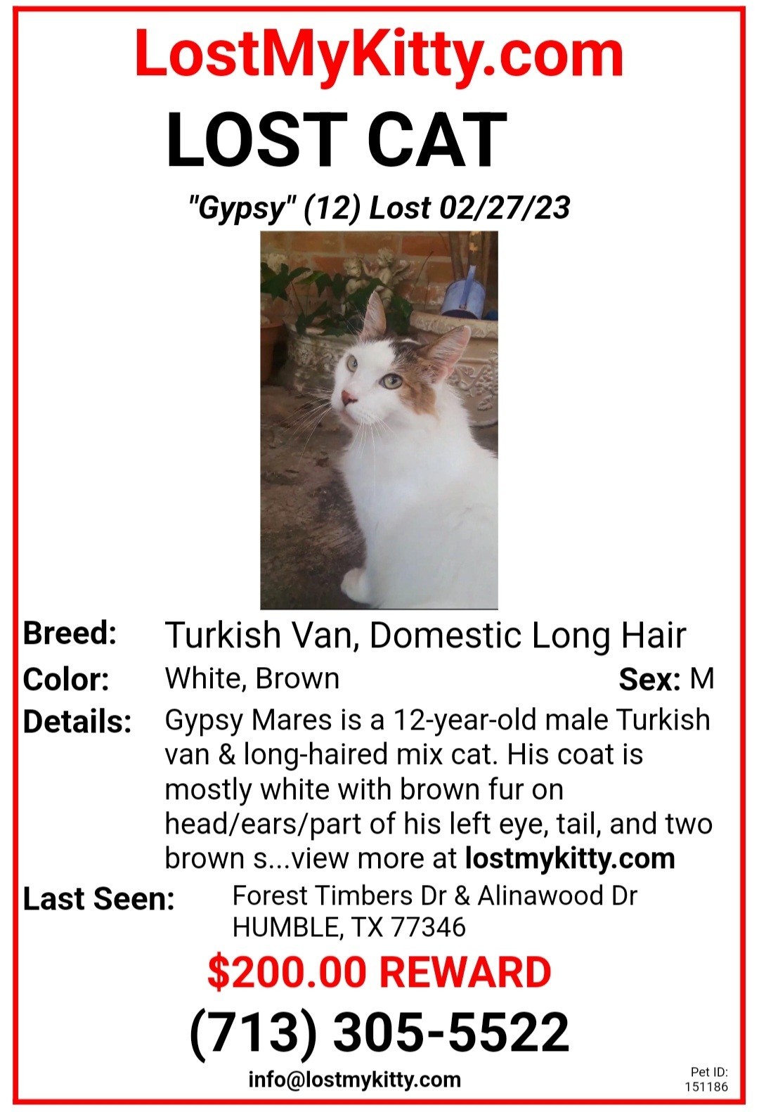 O$: Cat from Atascocita Area is Still Missing and Waiting to be